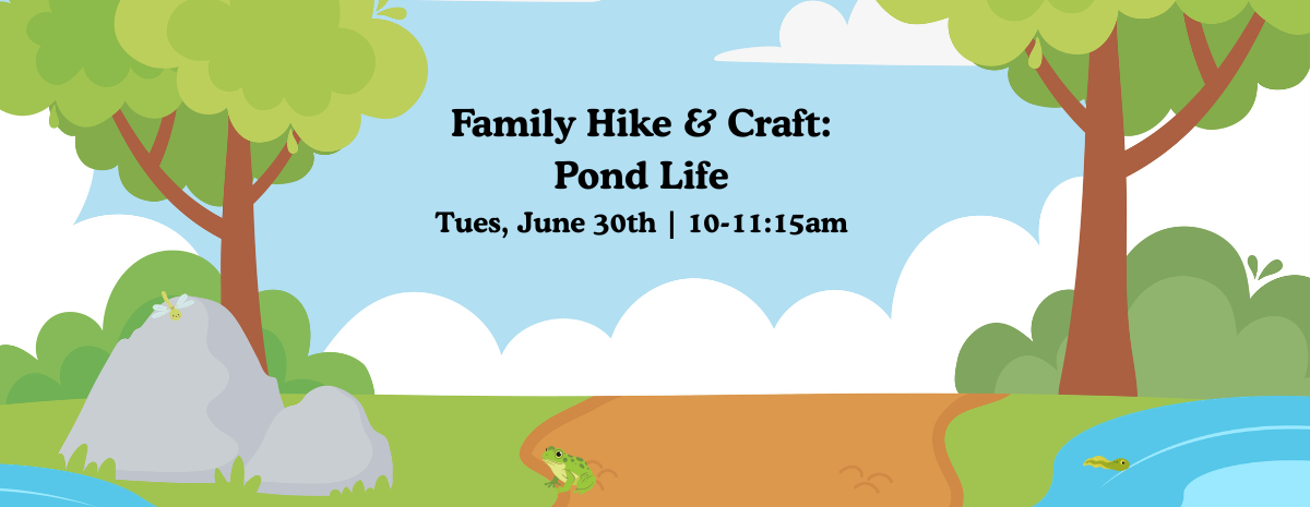 Family Hike & Craft: Pond Life